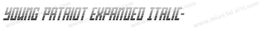 Young Patriot Expanded Italic字体转换